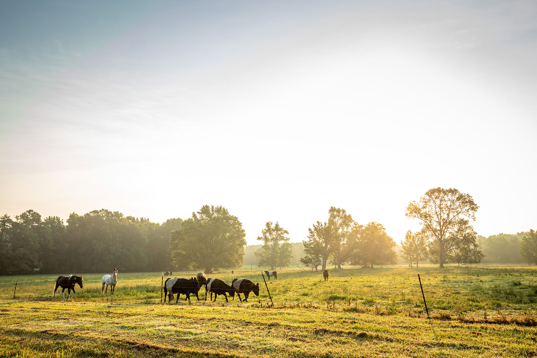 Amy-Mikler-Advertising-Photography-NC2020-0159_webedit
